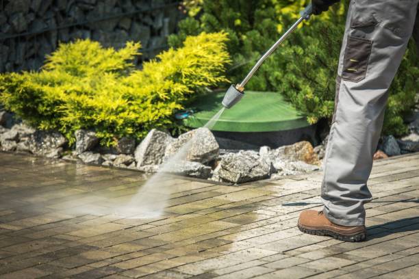 Best Winterizing Services  in Aledo, IL
